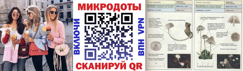 Галлюциногенные грибы Cubensis наркошоп Верея