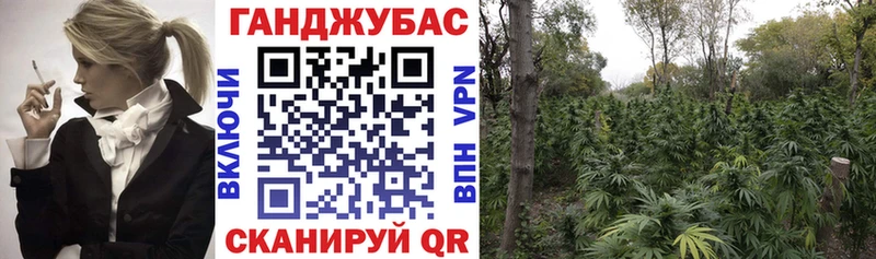 МАРИХУАНА тримм Верея